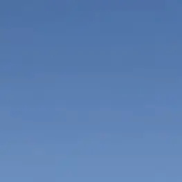 Profile image of スタンリー