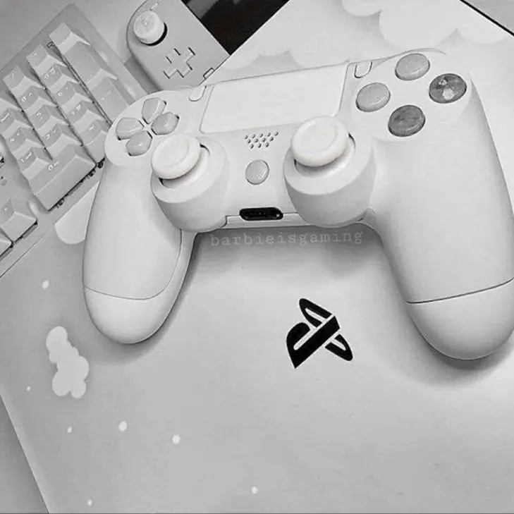 SilkyOwl6007의 山中柔太朗