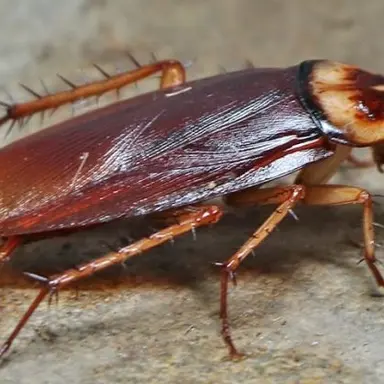 Profile image of 바퀴퀴님