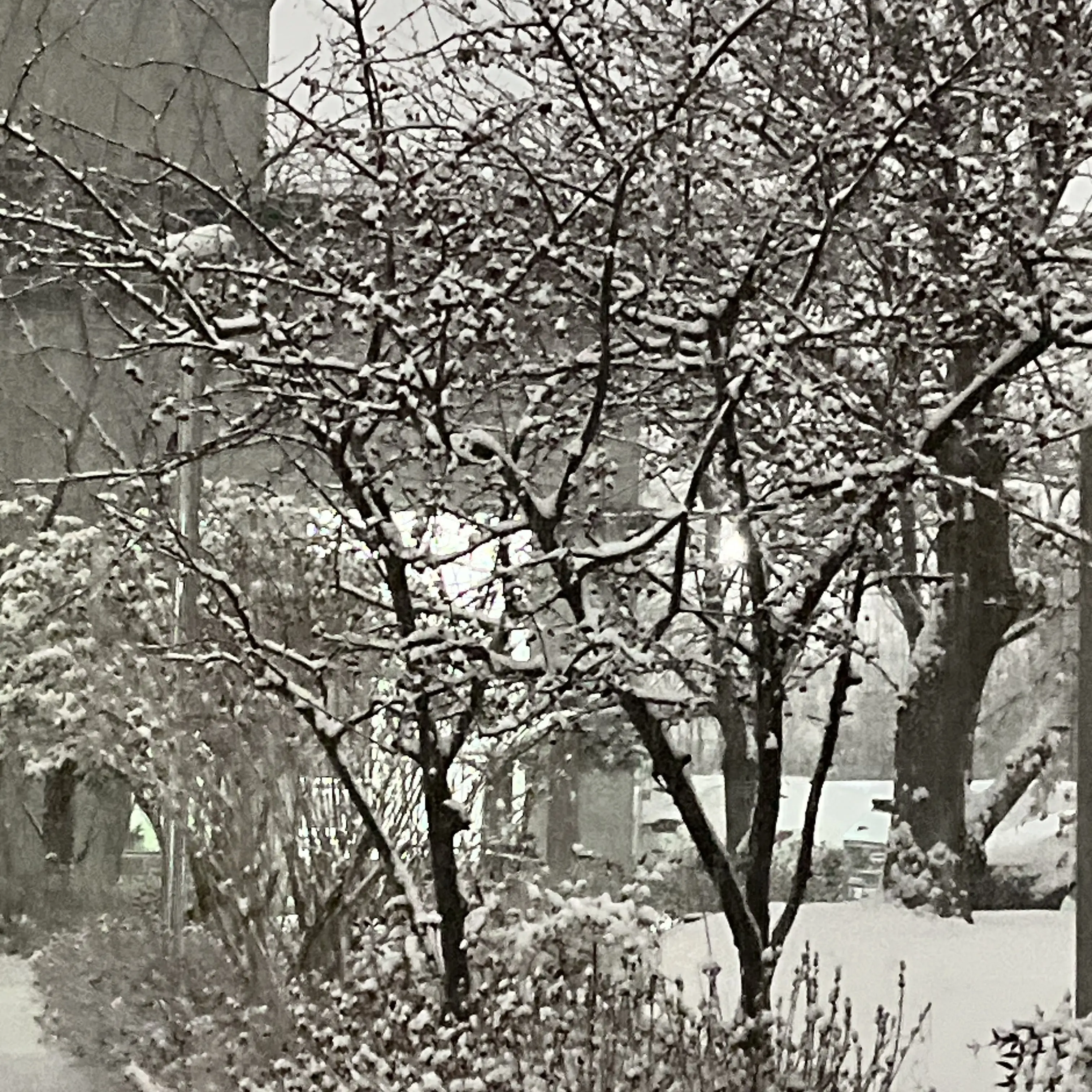 Udoyeoe의 동생 갖고싶어?