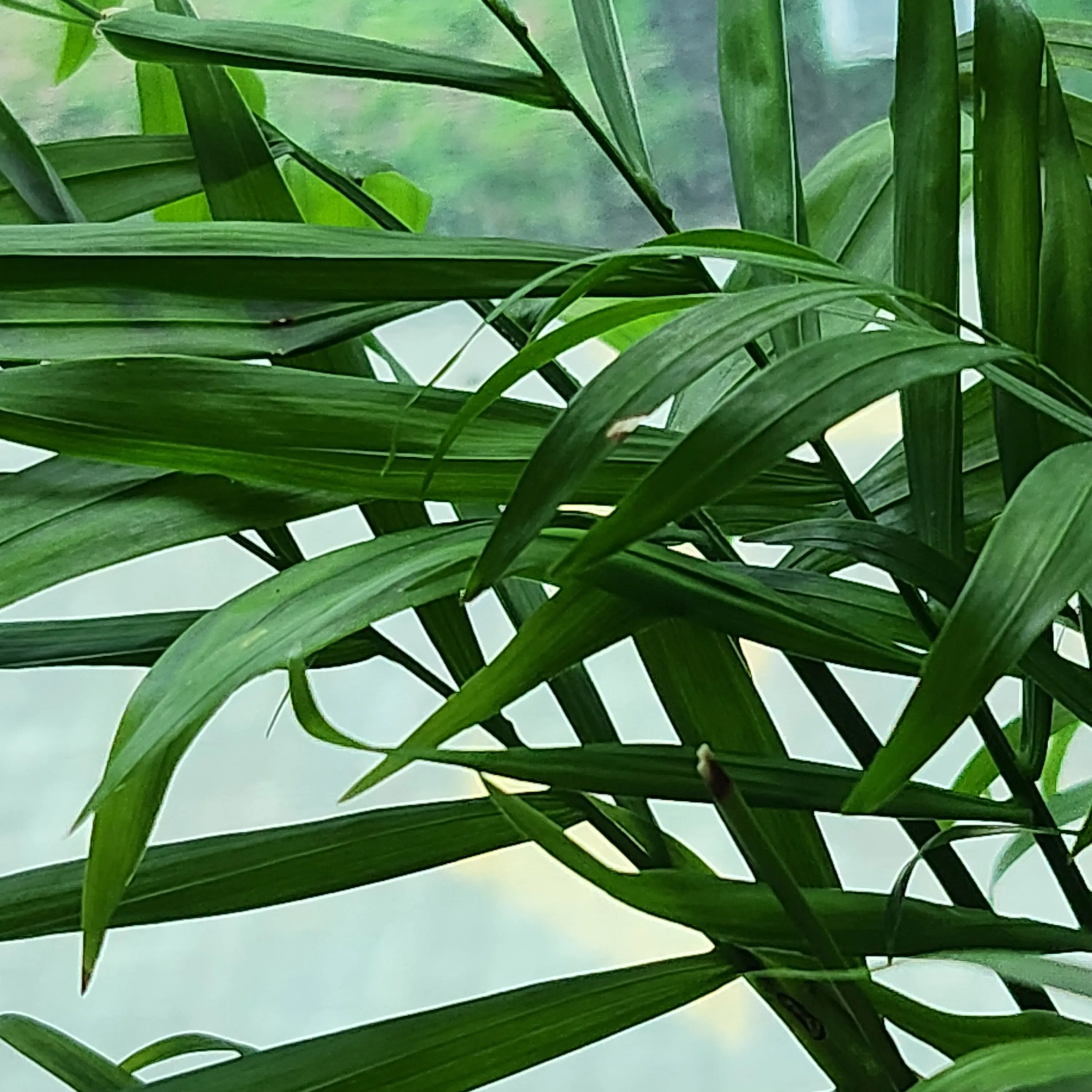 happy_11111117의 자유