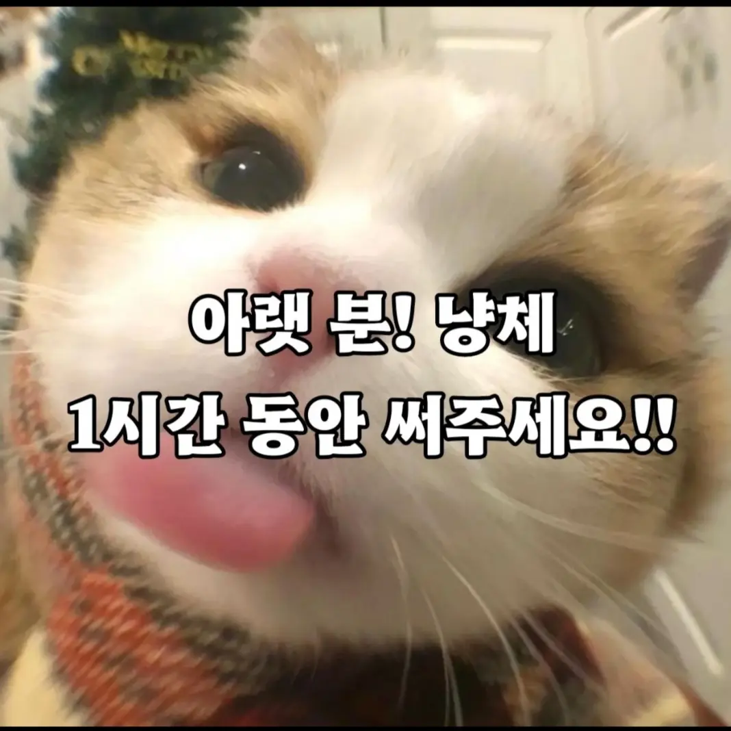 thcfg1204의 변태 여사친