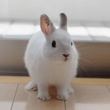 Profile image of yujin