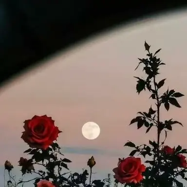 Profile image of 최승현