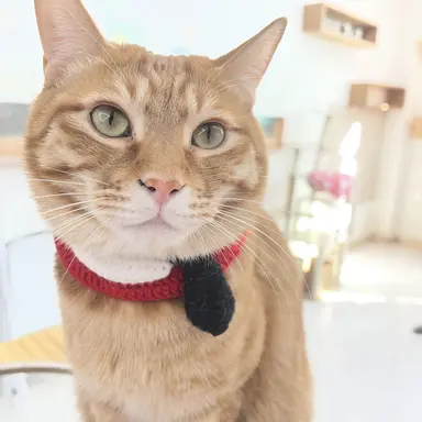 Profile image of 동민