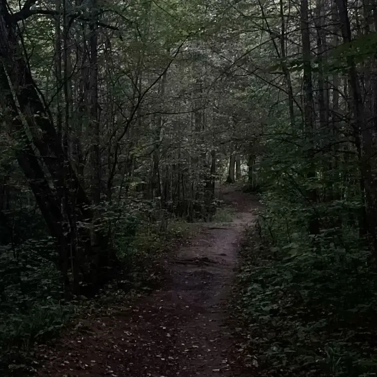 PronePen6638의 Lost in forest