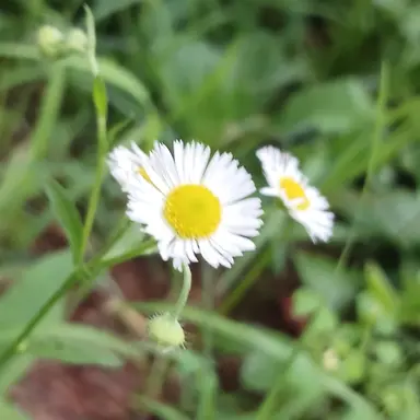 Profile image of 각별