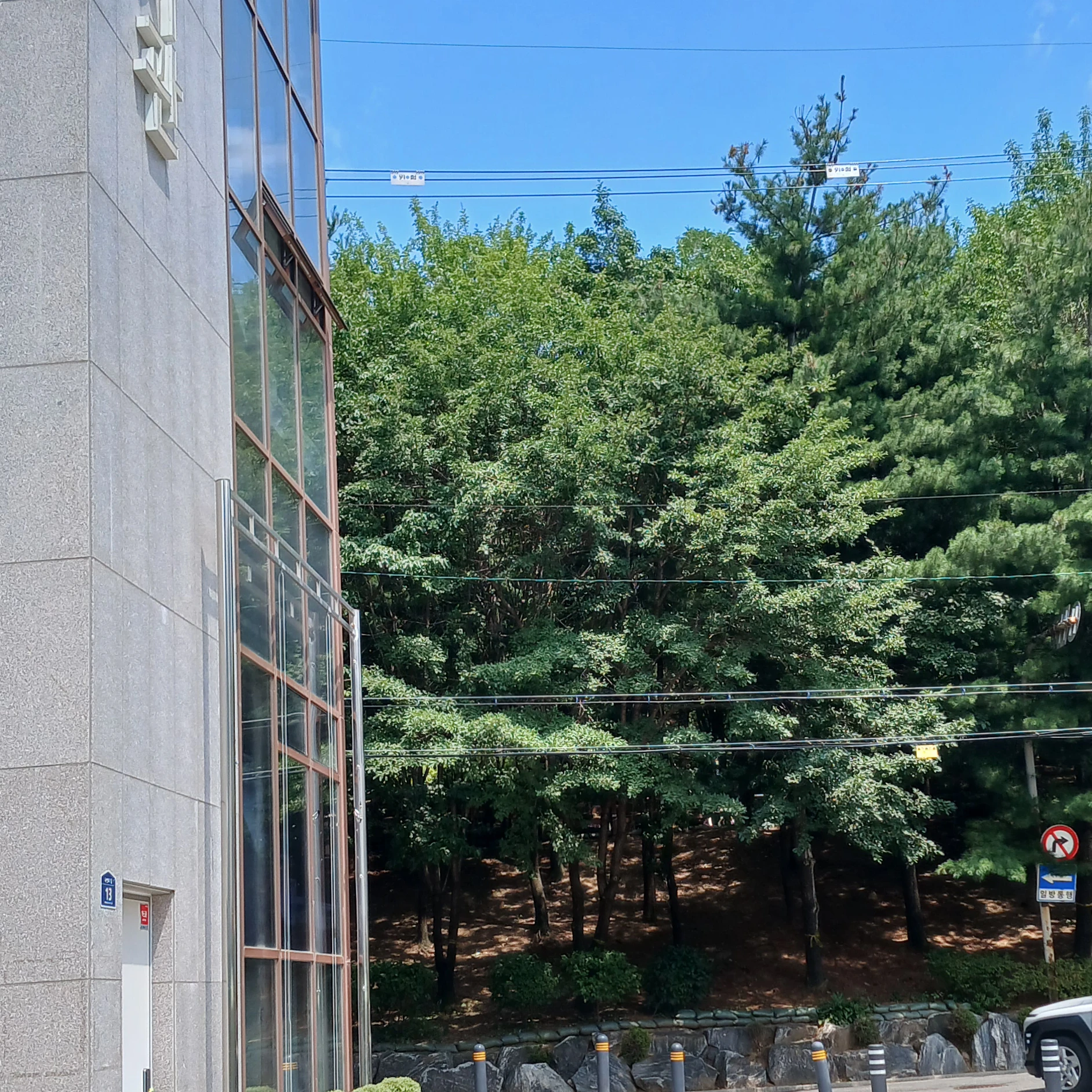 감제이