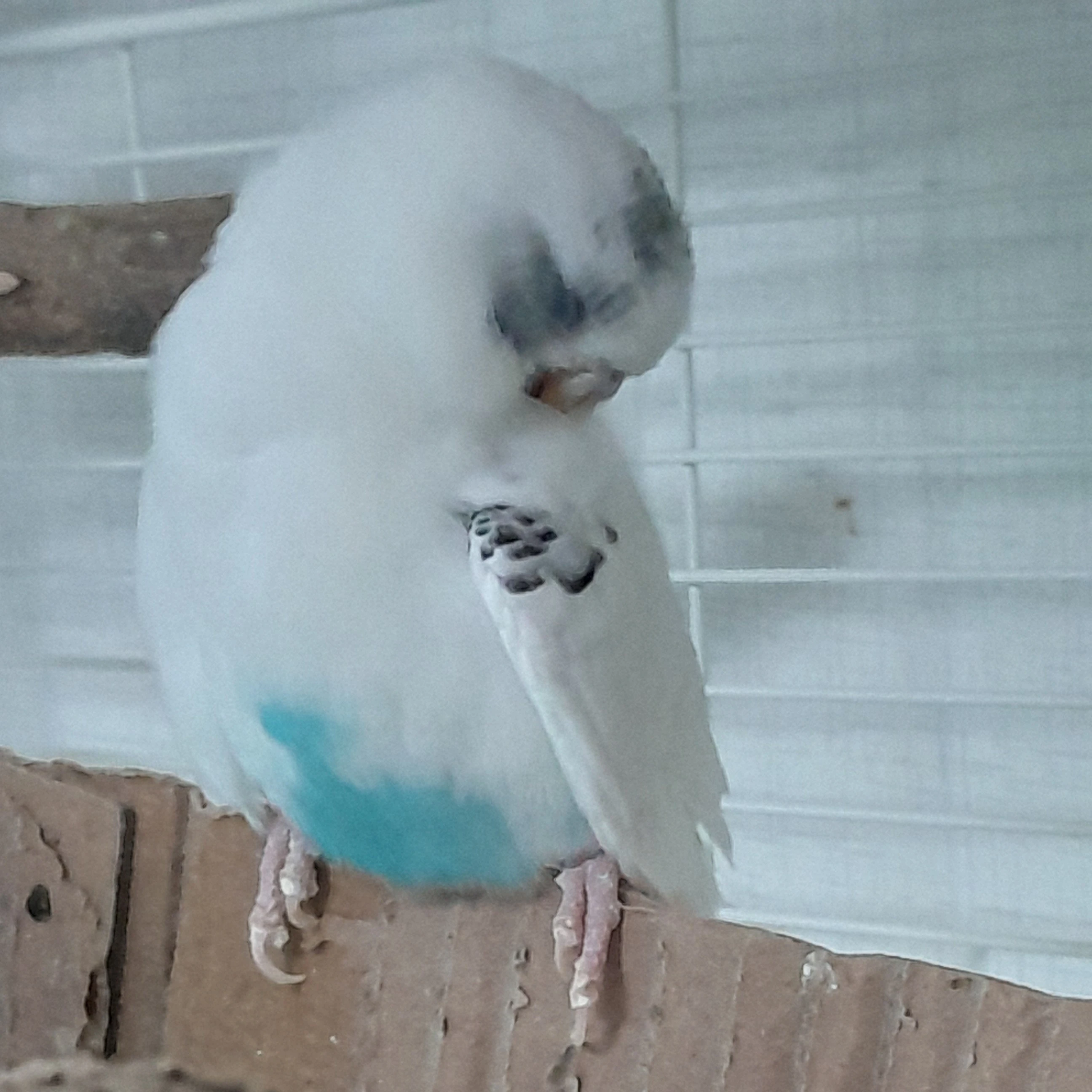 가을