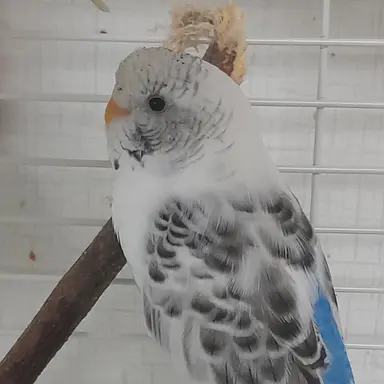 Profile image of 유진