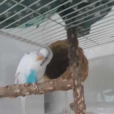 Profile image of 이서