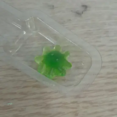 Profile image of 여우