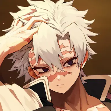 Profile image of 시나즈가와 사네미