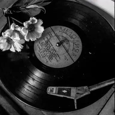 Profile image of 잉크모