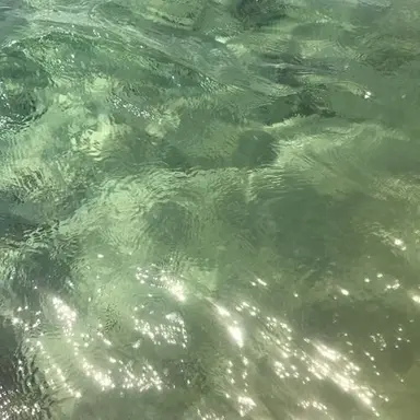 Profile image of 정형준