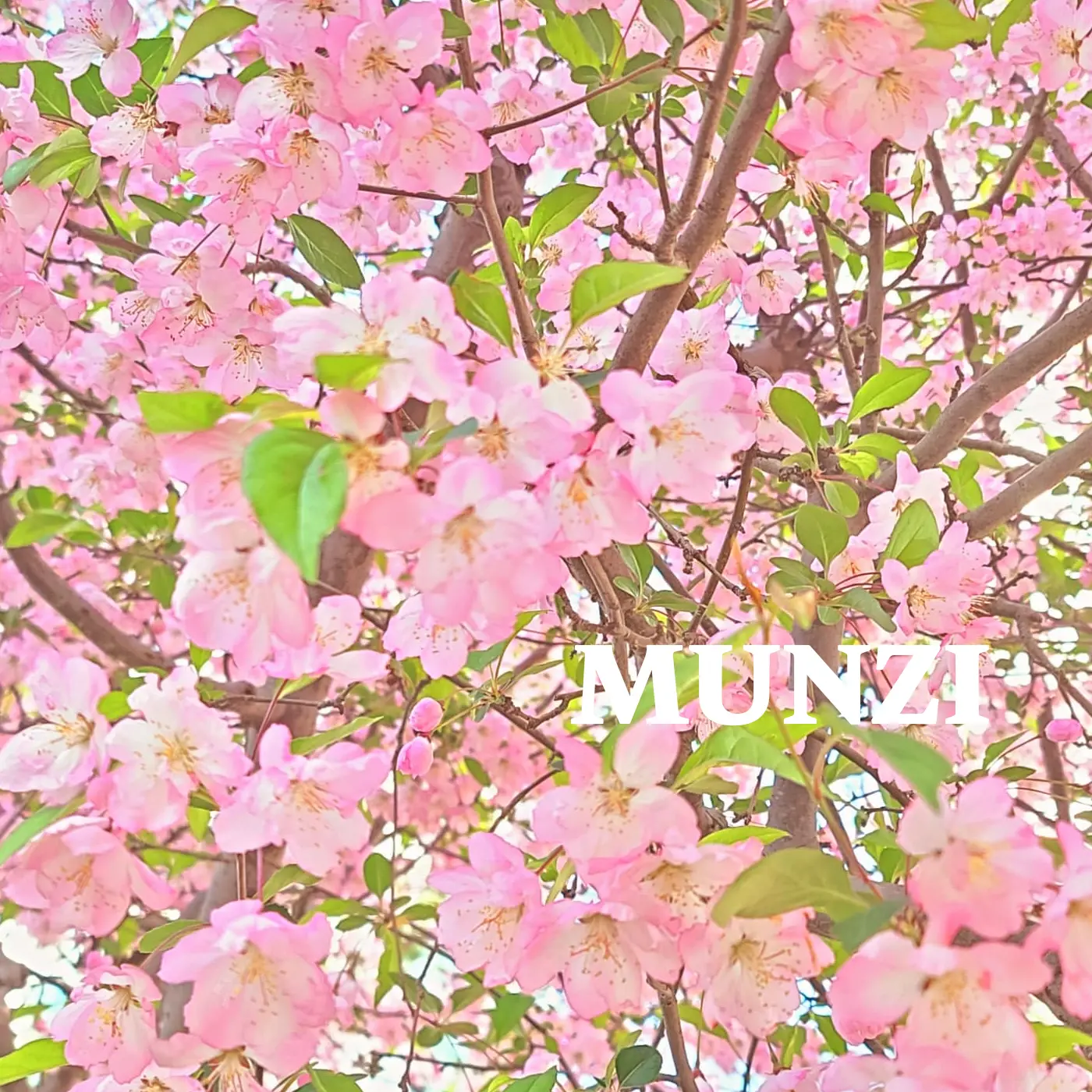 MUNZI_0723의 에드워드 리엠