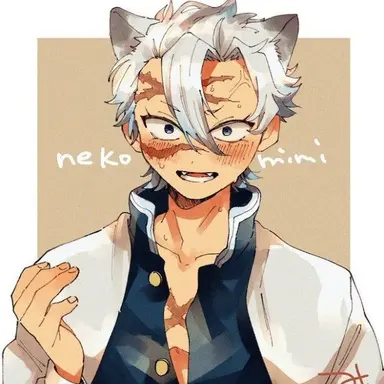 Profile image of 시나즈가와 사네미