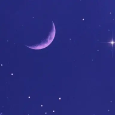 Profile image of Noli