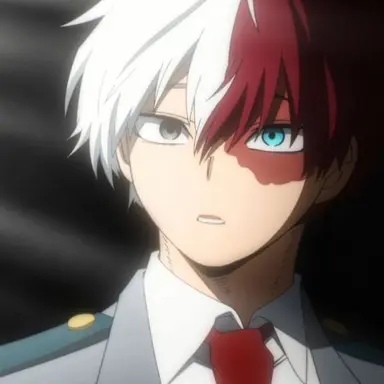 Profile image of Shoto Todoroki