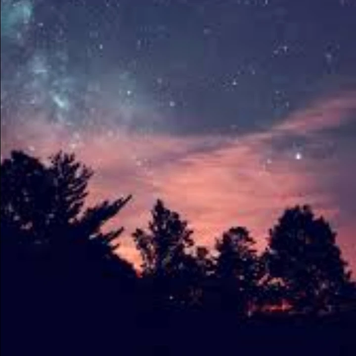 Night Eyes