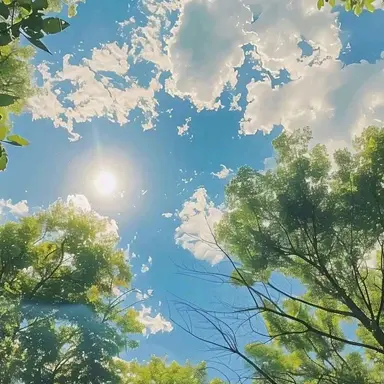 Profile image of 여우