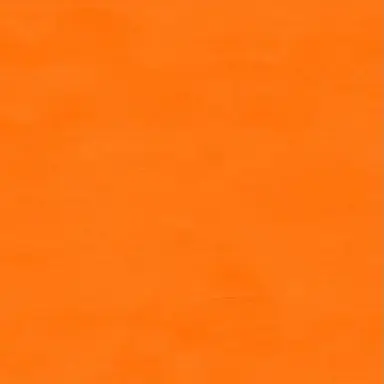 Profile image of 向井 康二