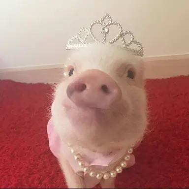 Profile image of 권예지