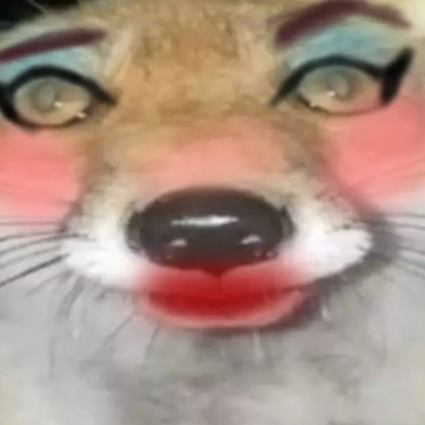 LoyalToque3797의 댄월 고등학교! (메인만+여우+늑대)