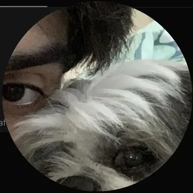 Profile image of Mubeen