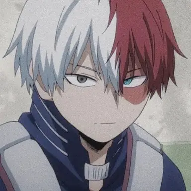 Profile image of Todoroki