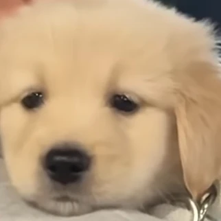김승민