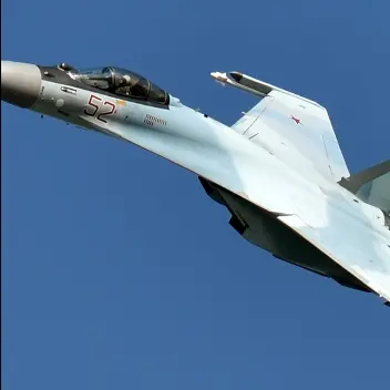 PaleDisk8211의 SU 35