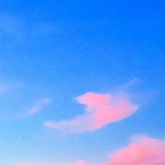 Profile image of 여우