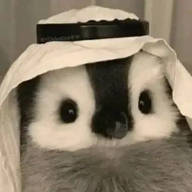 Profile image of Borys