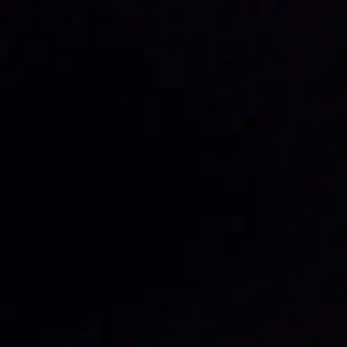 Profile image of 당보