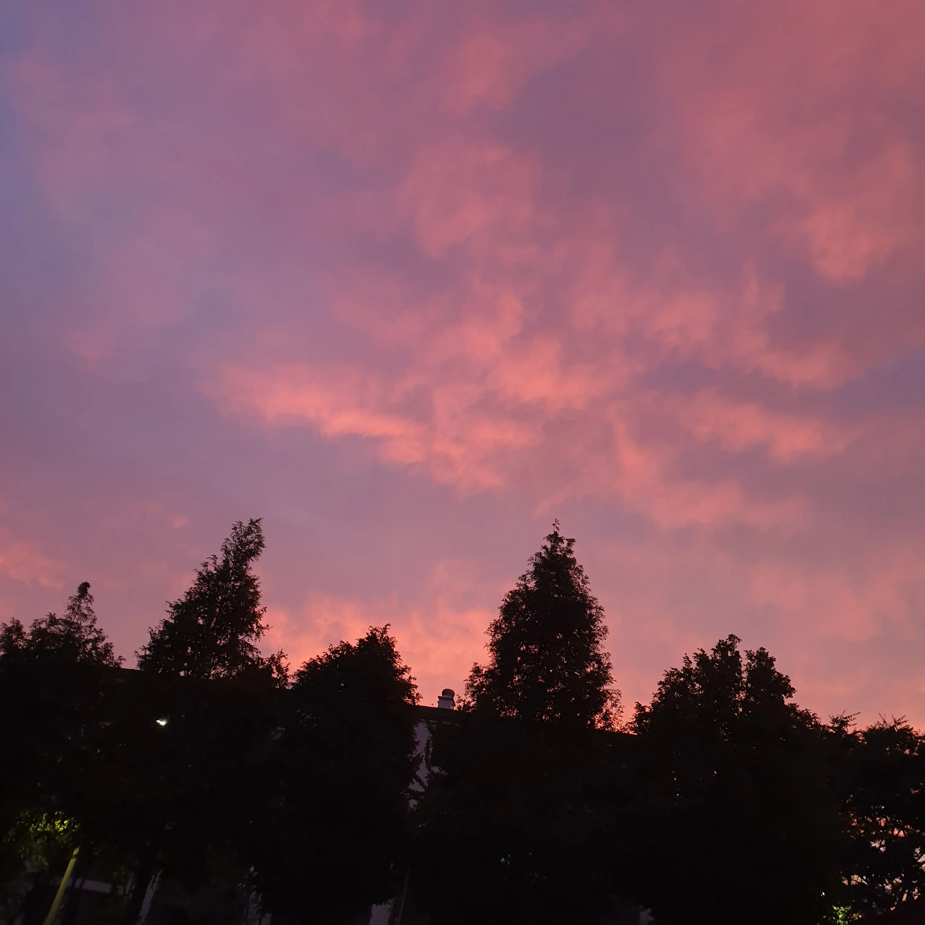 LOVE1LY의 裵漢率