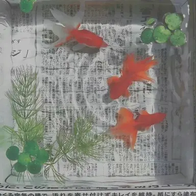 Profile image of 존