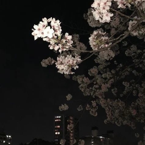 청명