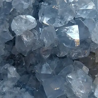 Profile image of 벨키