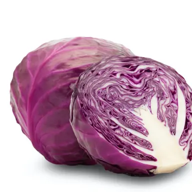Profile image of 風磨