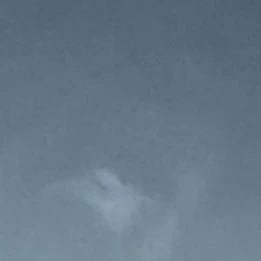 명