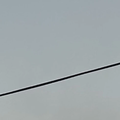 帝