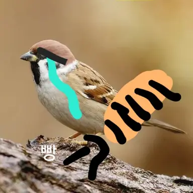 Profile image of 빵셔틀 참새