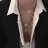 도영