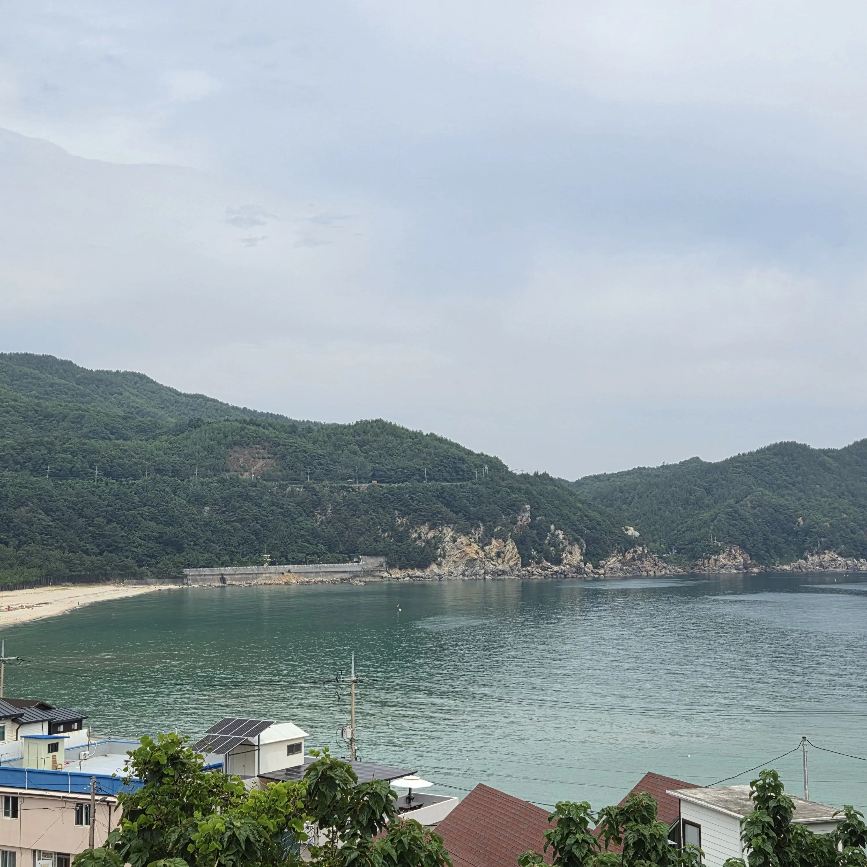 QuaintBonus3591의 자유롭게 2