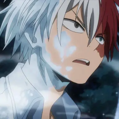 Profile image of Shoto Todoroki