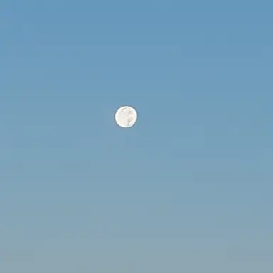 Profile image of 여우