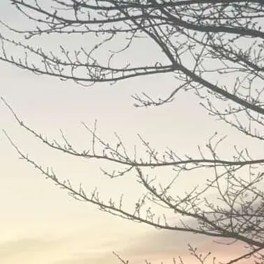 Profile image of 홍해인