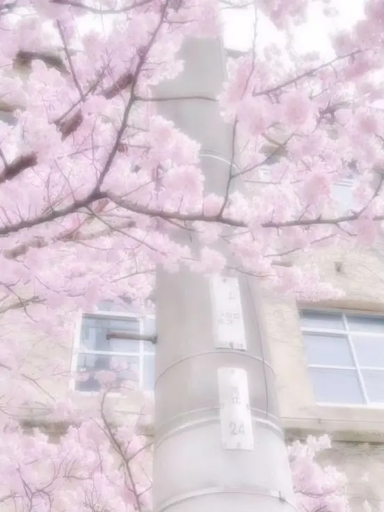 Kawaii_SHUshu의 瓦城千咒