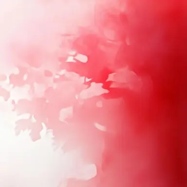 Profile image of 本田桐